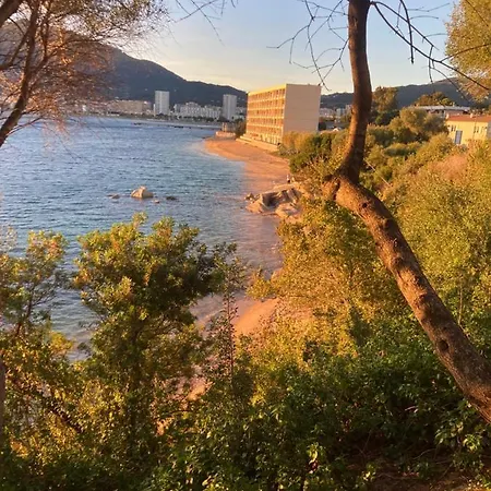 T2 Standing Ajaccio Ajaccio (Corsica)